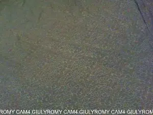 Cam4 Private Sex Chat of GiulyRomy
