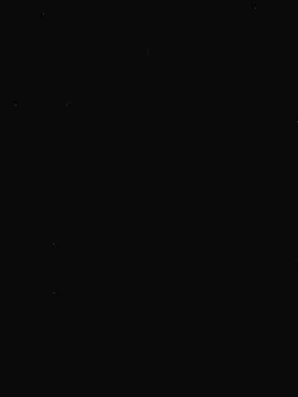 Cam4 Free Porn Cam of jobedelights