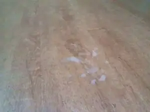 Cam4 Private Sex Chat of bocul69