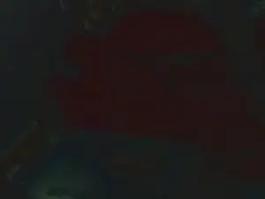 Cam4 Best live sex cam show of bmurraykcmo_hot