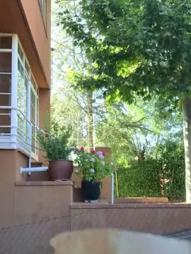 Cam4 Free Porn Cam of Madrid_sierra