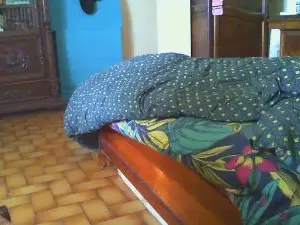 Cam4 Adult Video Chat of Sissyjustine