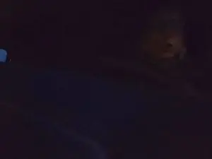 Cam4 Free Porn Cam of skinguyni