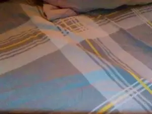 Cam4 Live Sex of centjjoseph