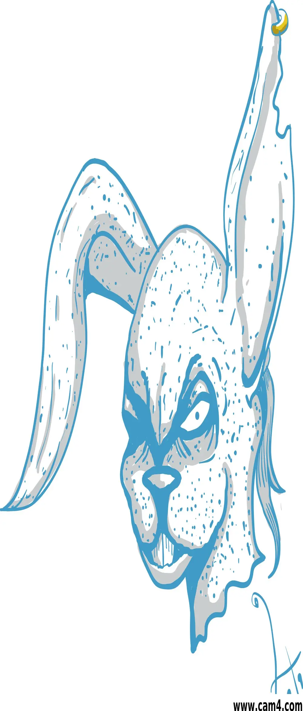 vasary
