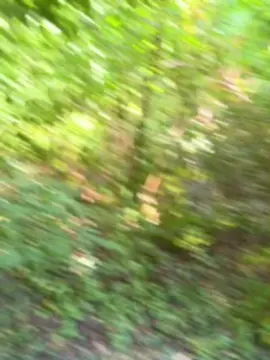 Cam4 Live Sex Cam of Bittchiz686868