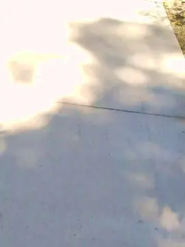 Cam4 Live Sex Cam of Marc59d