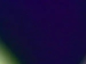 Cam4 Watch Live Sex Cams of satcheljr
