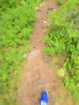 Cam4 Free Live Porn of likescock5