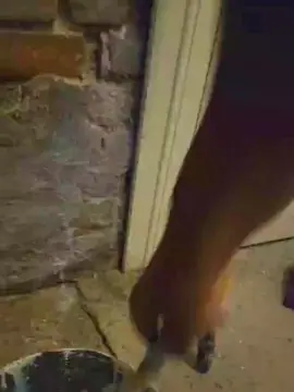 Cam4 Free Porn Cam of likescock5