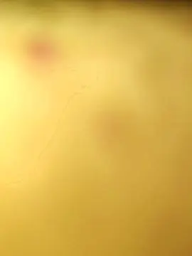Cam4 Live Sex of Altokehot1980