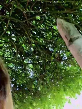 Cam4 Private Sex Chat of Tania__honey