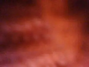 Cam4 Live Sex of collina09