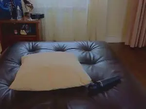 Cam4 Live Sex Cam of AlmedaLeos