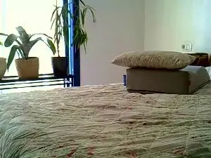 Cam4 Free Porn Cam of paulastar3