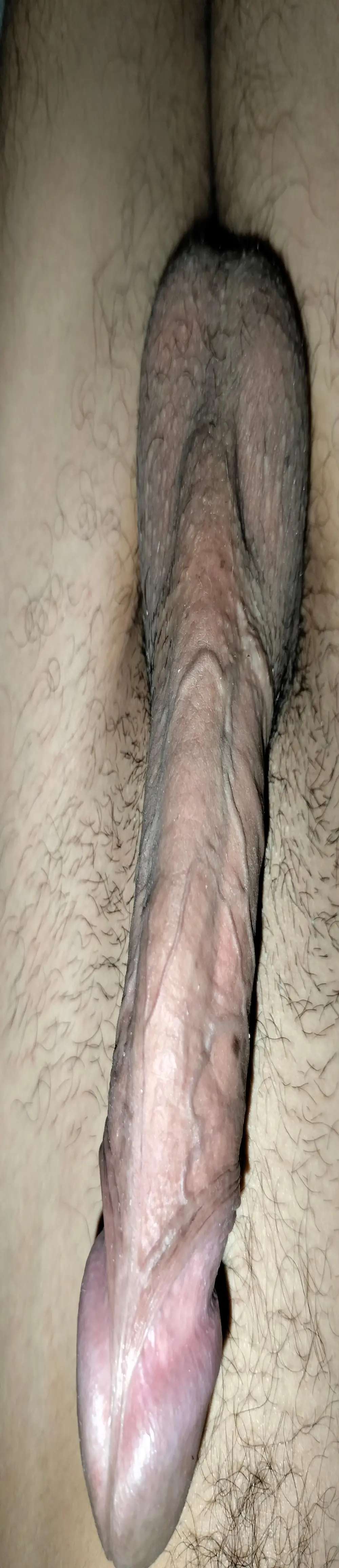 Carlhot3
