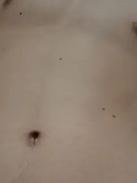 Cam4 Best live sex cam show of NOVINHOMUDO