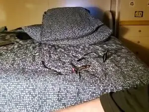 Cam4 Live Sex Cam of scrocchia84