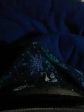 Cam4 Sex Chat of Knacho345