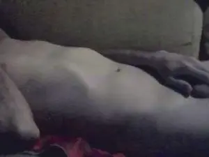 Cam4 Adult Video Chat of clipper79