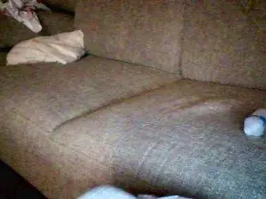 Cam4 Best live sex cam show of ginterminabile4