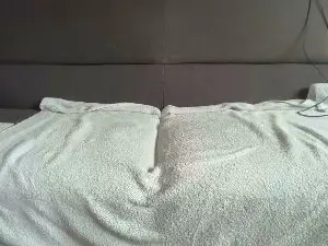 Cam4 Sex Cam of fickpimmeln