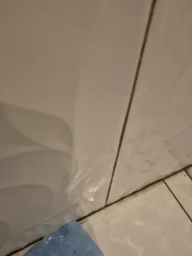Cam4 Live Porn of Magrinho69x