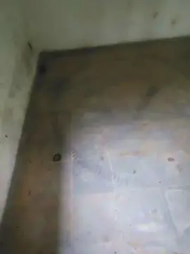 Cam4 Free Porn Cam of PauzudaoMG