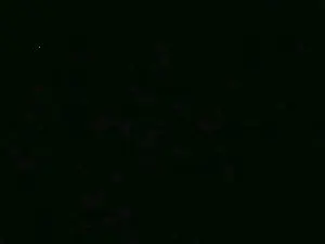 Cam4 Best Webcam of sfrittola