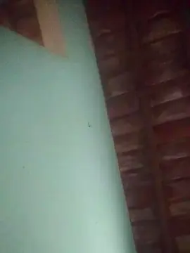 Cam4 Live Porn of Lyya