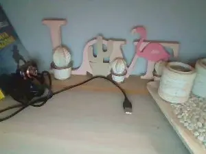 Cam4 Nude Webcam of TettonaPelosa