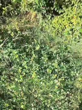 Cam4 Live Sex Cam of slipfun_sexy