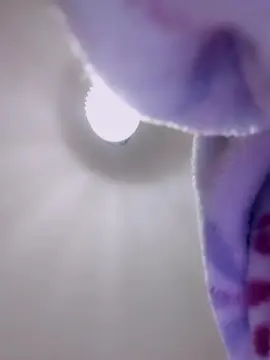 Cam4 Live Sex of gabryee