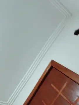 Cam4 Live Porn of Negaodorio21