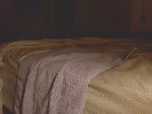 Cam4 Live Sex of Behrbear