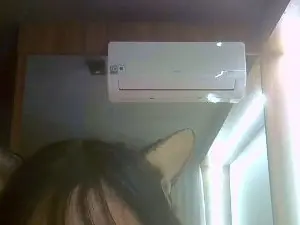 Cam4 Live Sex Cam of SkinnyKittenCam