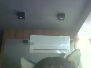 Cam4 Private Sex Chat of SkinnyKittenCam