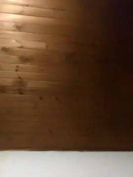 Cam4 Free Porn Cam of Obsidian