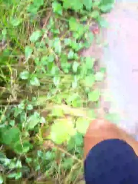 Cam4 Adult Webcams of saarman33