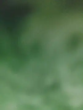 Cam4 Live Sex Cam of Vitorvp