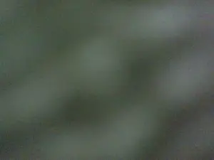 Cam4 Free Live Porn of Leonrood69