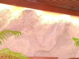 Camsoda Sex Cam of alison-mooon