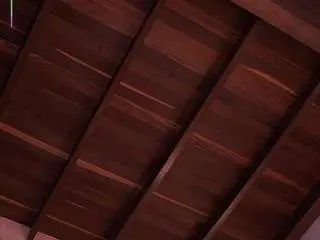 Camsoda Sex Chat of ariafoster