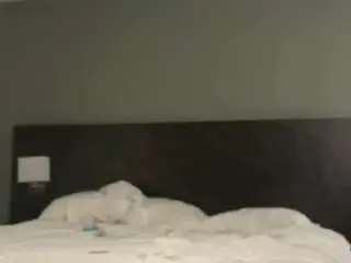 Camsoda Adult Webcam of dallaspapi23
