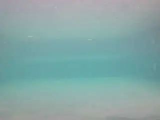 Camsoda Best Webcam of voyeurcam-casa-salsa-pool-1