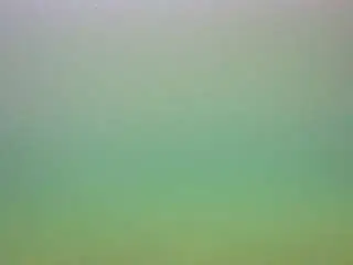 Camsoda Nude Webcam of voyeurcam-casa-salsa-pool-1