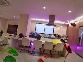 Camsoda Sex Chat of voyeurcam-casa-salsa-fishtank