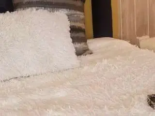 Camsoda Adult Webcams of laurencarterr