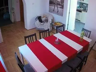 Camsoda Free Live Porn of voyeurcam-julmodels-dining