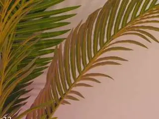Camsoda Live Sex Cam of valery-swan